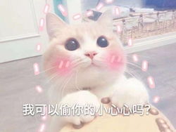  神兽队vs月亮队,中秋当然少不了这些带月的游戏啦