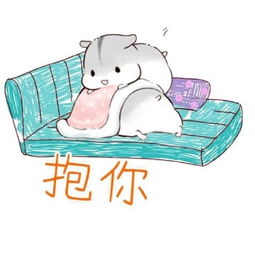  小仓鼠表情包媳妇,你究竟想干嘛