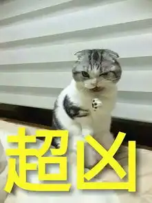  大家手里有宠物表情包吗,笑死人不偿命那种