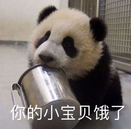  搞笑gif睡觉有风险,低头需谨慎