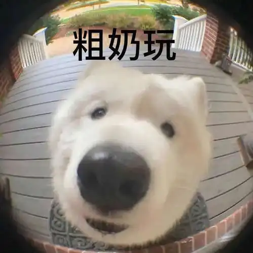  很搞笑的背景图每天都要开心哦