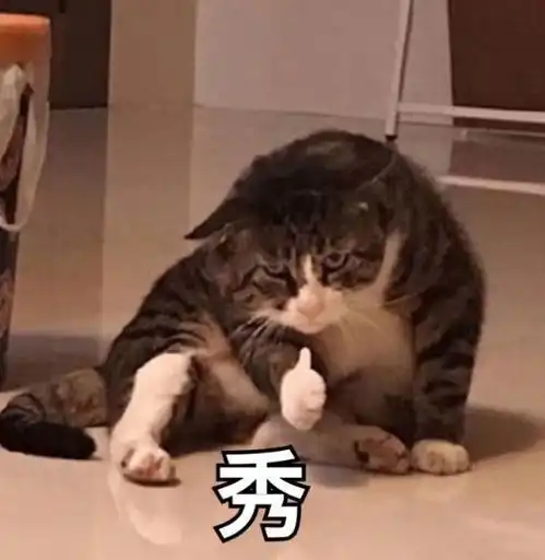  超强技术宅,沙赞导演拉上老婆随手拍的作品,评分竟力压正义联盟