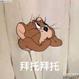  嫌弃我了懂了表情包亲亲可爱的自己猪图片表情包下载乐游网游戏下载