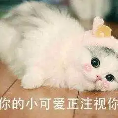  武汉站到东湖磨山樱园乘车or坐船