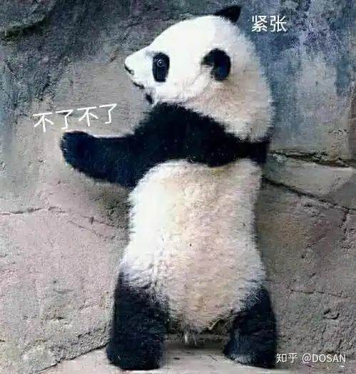  熊猫真是太可爱了第一波熊猫表情包