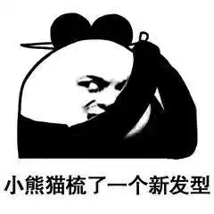  表情包小熊猫整理了一下新发型