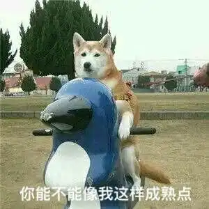  王收藏夹