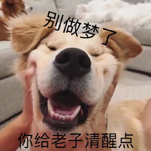  捧腹大笑的沙雕文案
