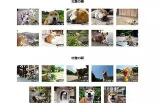  那只刷过我们表情包和朋友圈的柴犬,悄悄地去了天堂