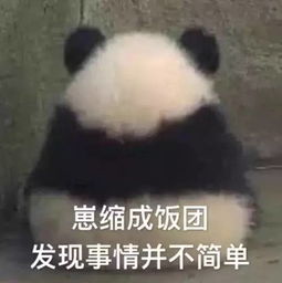  重庆十大最挤轻轨站点出炉,观音桥竟排第一