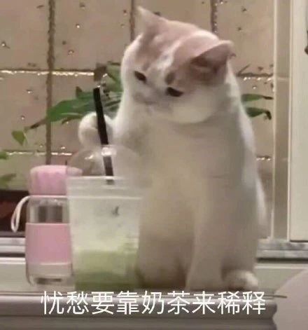  一组可爱搞笑的表情包动图片