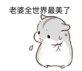  仓鼠表情包老婆不要再赖床啦