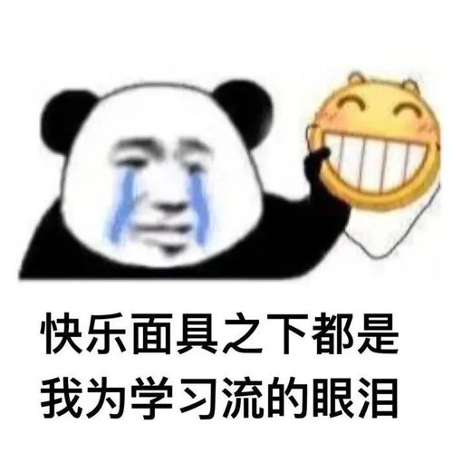  太冷不想打字,你懂