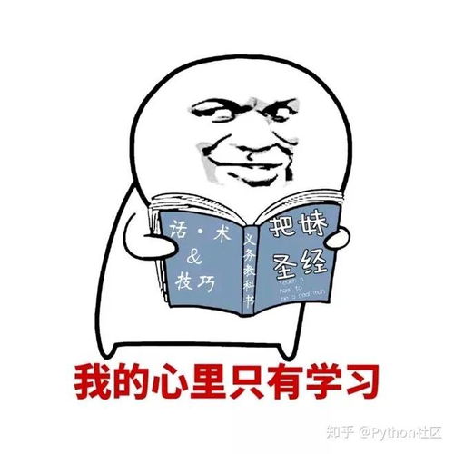  如何优雅的用python来解绕口令
