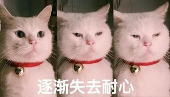  搞笑表情包请你离开我的互联网世界