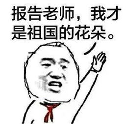  红领巾报告老师表情包报告老师,我才是祖国的花朵