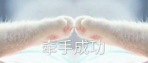  找男友啦