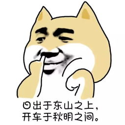  表情包苦酒入喉心作痛,完全没心思斗图