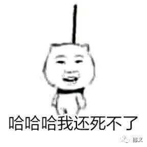  爆笑表情包图片大全第3期