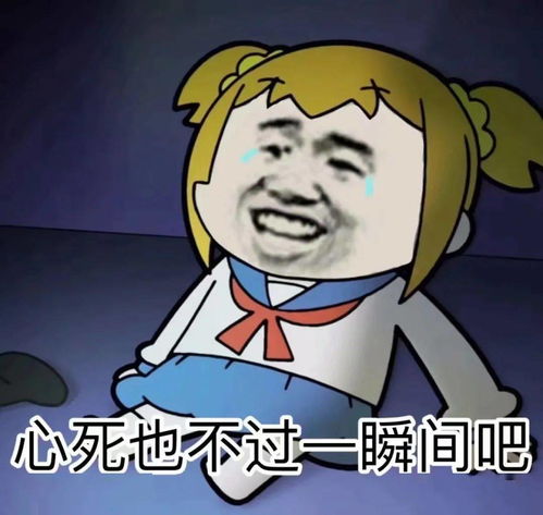  今日份表情包
