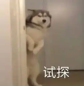  别去留学,百万学费换来7000月薪er