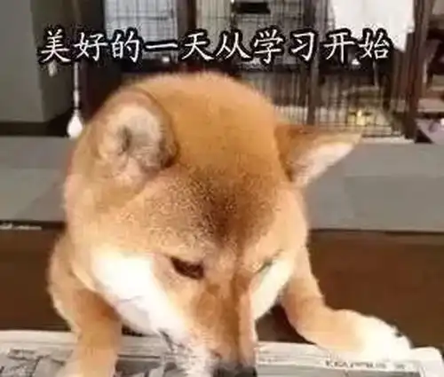  全干货房屋装修血泪史,全是网友亲身经历后总结的经验