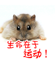  最搞笑的gif,疼到飞天的感觉怎么样