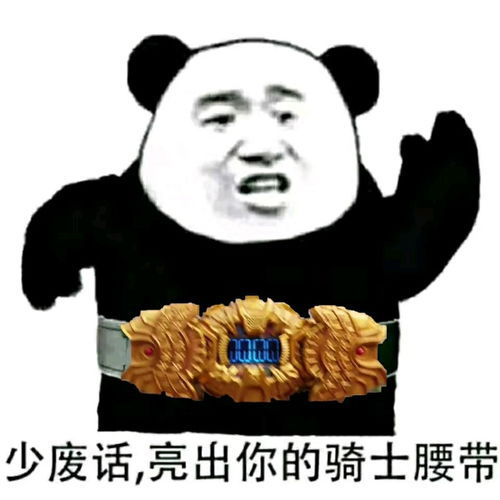  假面骑士沙雕表情包之奶奶说过