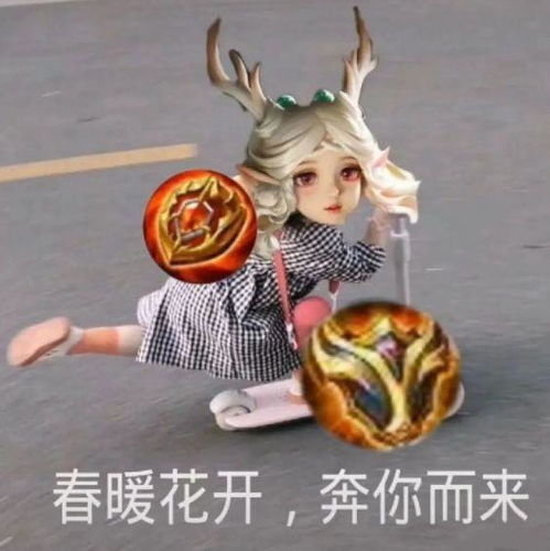  有没有王者荣耀瑶妹的表情包求分享