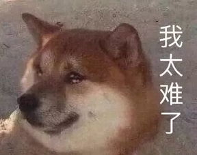 丧黑福造表情包狗狗