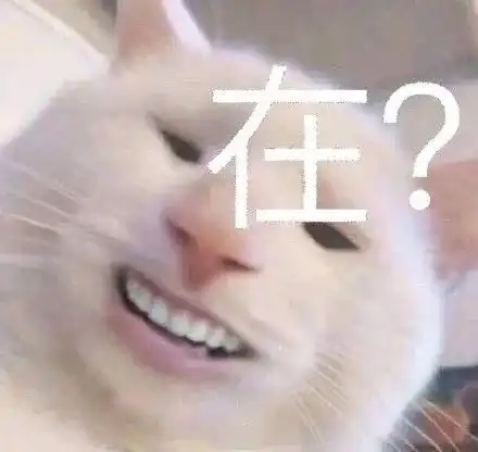  表情包杂七杂八斗图精选
