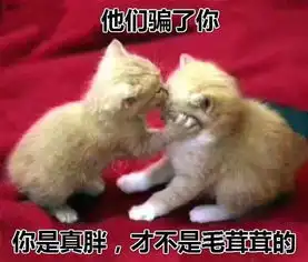  作为一个要胖就胖脸的人,总被人捏脸是一种什么体验