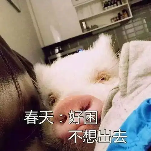  这可能是现在90后的常态