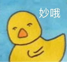  过站读物这是第五次逗你笑了...