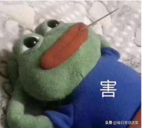  你手机号给我一下,我哥们看上你了不好意思要