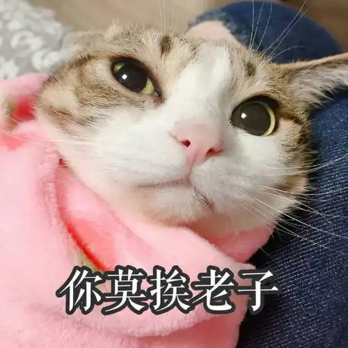  表白被拒就放弃的男生,内心真实想法是怎样的
