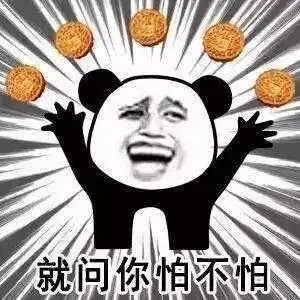 你这不是废话吗表情包
