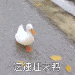  冬季趣味运动会要开始啦,这次有所不同哦