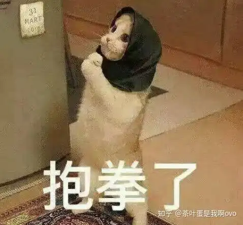 有一个白莲花舍友是什么感觉  有一个白莲花舍友是什么感觉