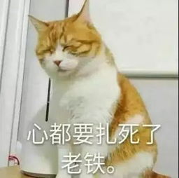  谈恋爱自毁前程强行碰瓷顶流娱乐圈能红的都是一群狠人