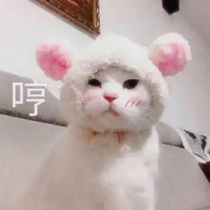  2018年度火遍代购圈的单品,你入坑了么