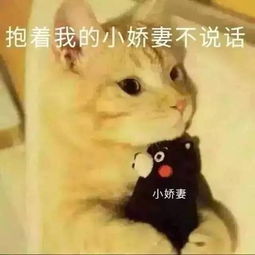  表情包