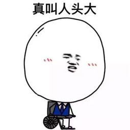 定春表情包选校