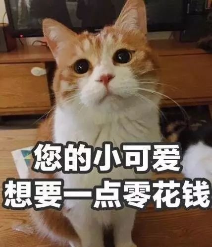 你以为过双十一只有钱还要有脑子