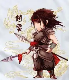  求衣服上赵云图案谢谢了