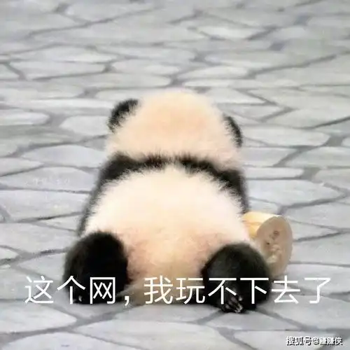  最新表情包图片发这个到微信朋友圈,今晚谁做我的枕边人