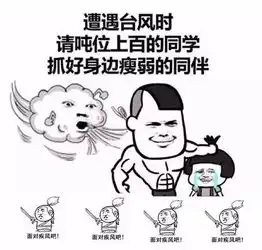  超强台风海马经过,深圳竟然成了这个样子