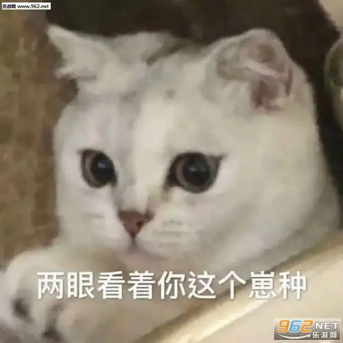  投降别惹老子图片人家就是离不开你的小笨蛋表情包下载乐游网游戏下载