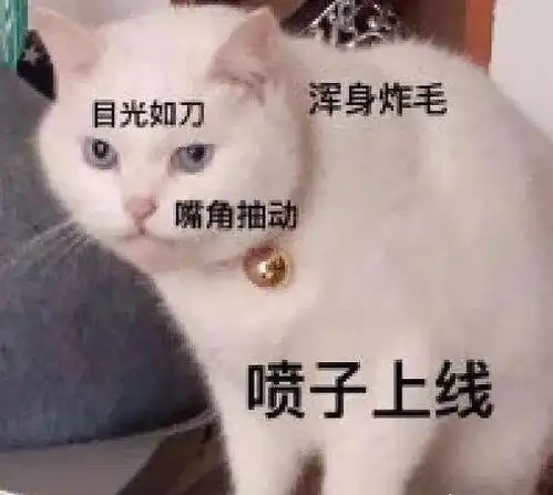 表情包分类诈尸