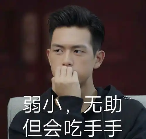 已有视频做激萌表情包李